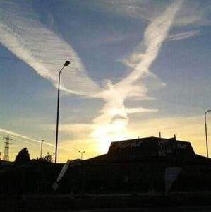 Meet your Posher, Shelley